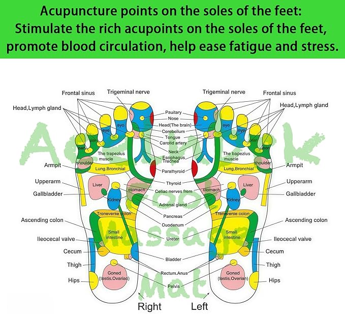 Foot Massager Mat, Yinyang Balance Tai chi Bagua Pattern with Magnetic Therapy, Acupressure Reflexology Mat for Daily Foot Relaxation and Pain Relief, Blue and Green