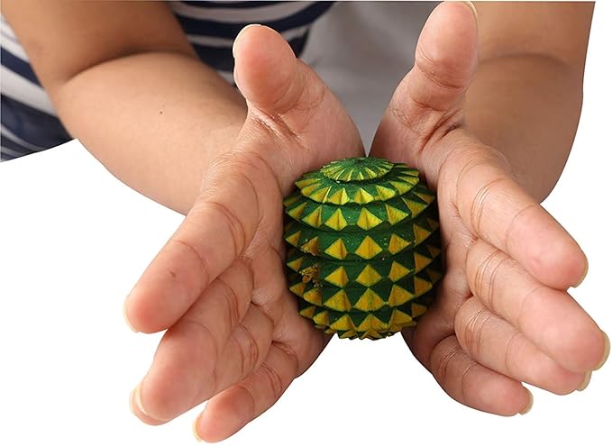 Acupressure Wooden Foot Roller Magnetic Stress Mat Combo Kit (Set of 9)