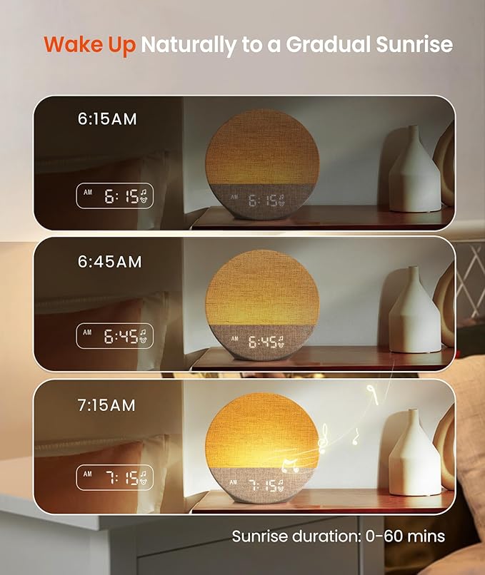 Dreamegg Sunrise 1 - Sunrise Alarm Clock, Sound Machine for Sleep, Customizable Sleep Routines, Dimmable Night Light, 29 Soothing Sounds, White Noise Machine, Wake Up Light for Bedrooms(Blue)