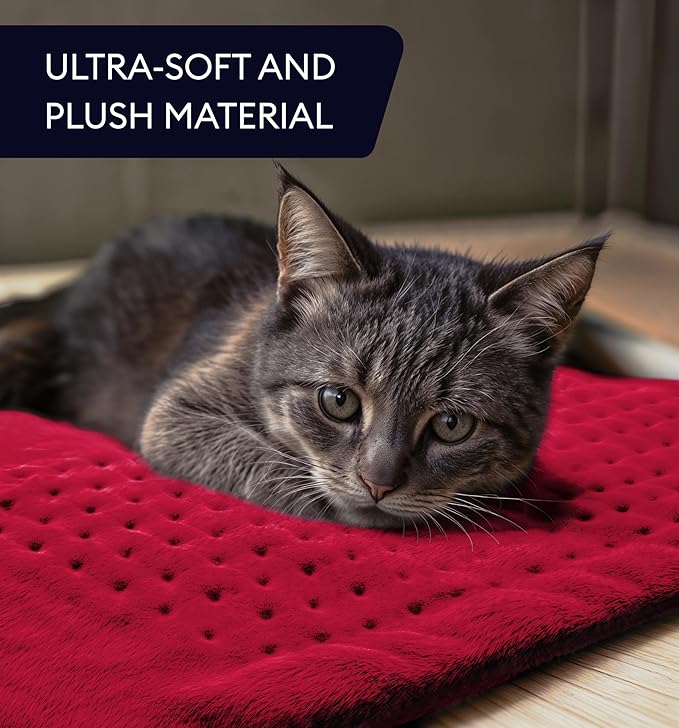 GENIANI Electric Heating Pad for Back Pain & Cramps Relief, Electric Throw, Auto Shut Off, Machine Washable, Moist Heat Pad for Neck & Shoulder - Valentines Day Gifts for Her, 12x24 Viva Magenta