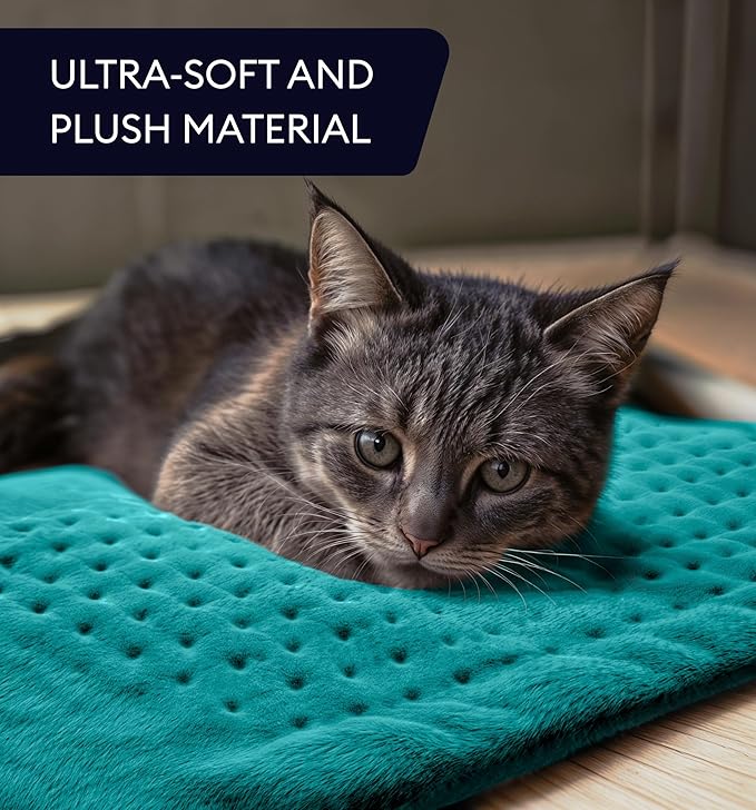 GENIANI Electric Heating Pad for Back Pain & Cramps Relief, Electric Throw, Auto Shut Off, Machine Washable, Moist Heat Pad for Neck & Shoulder - Valentines Day Gifts for Her, 12x24 Viridian Green