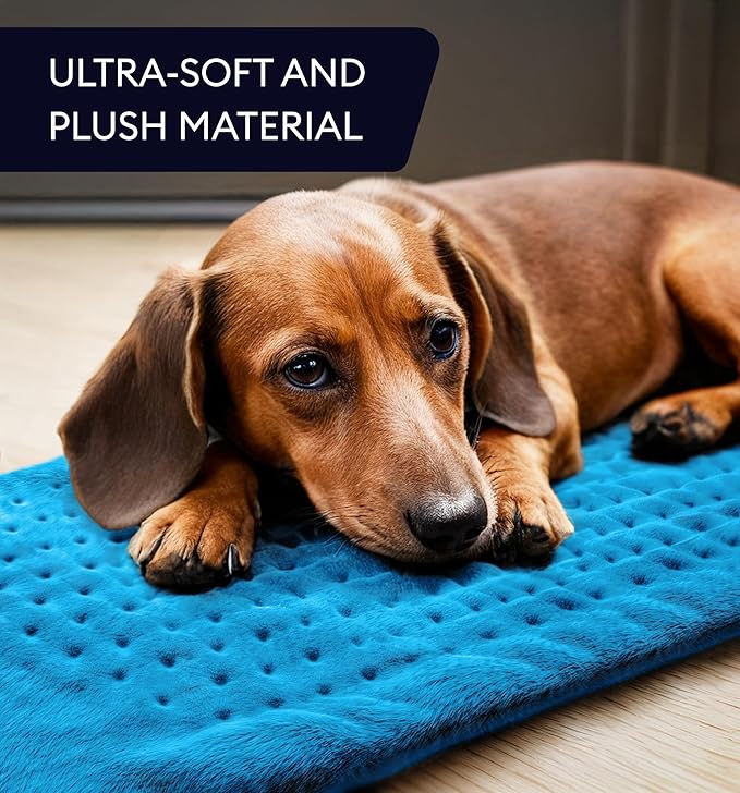 GENIANI Electric Heating Pad for Back Pain & Cramps Relief, Electric Throw, Auto Shut Off, Machine Washable, Moist Heat Pad for Neck & Shoulder - Valentines Day Gifts for Her (12×24", Aqua Blue)